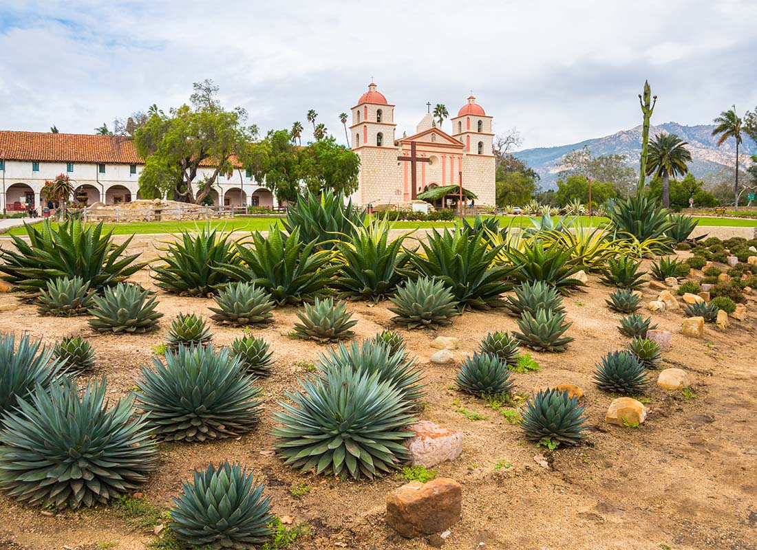 Blog - View of Agave Plants in Front of Historical Spanish Style Buildings in Santa Barbara California on a Sunny Day